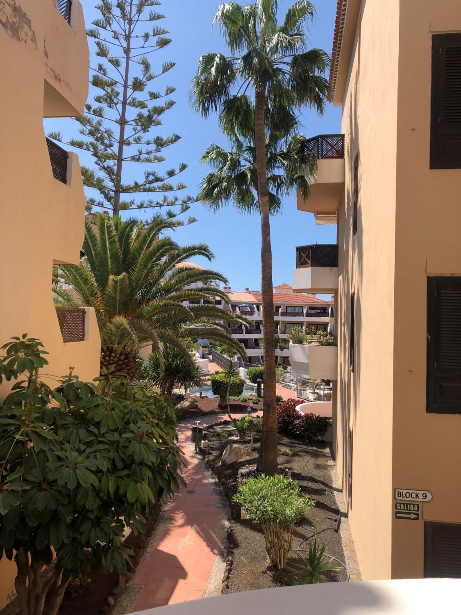Apartamento Albatros Golf Del Sur Apt 257 San Miguel de Abona Buitenkant foto